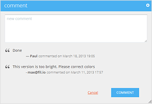 screenshot of commenting interface